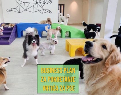 BUSINESS PLAN ZA POKRETANJE VRTIĆA ZA PSE