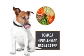Domaća hipoalergena hrana za pse