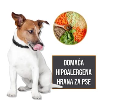 Domaća hipoalergena hrana za pse