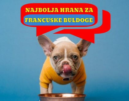 NAJBOLJA HRANA ZA FRANCUSKE BULDOGE