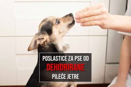 POSLASTICE ZA PSE OD DEHIDRIRANE PILEĆE JETRE