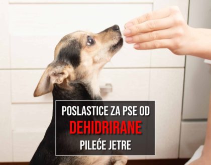 POSLASTICE ZA PSE OD DEHIDRIRANE PILEĆE JETRE