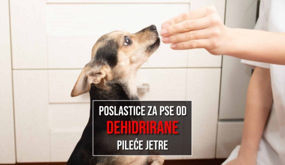 POSLASTICE ZA PSE OD DEHIDRIRANE PILEĆE JETRE