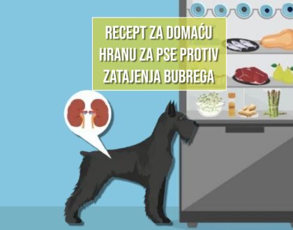 RECEPT ZA DOMAĆU HRANU PROTIV ZATAJENJA BUBREGA