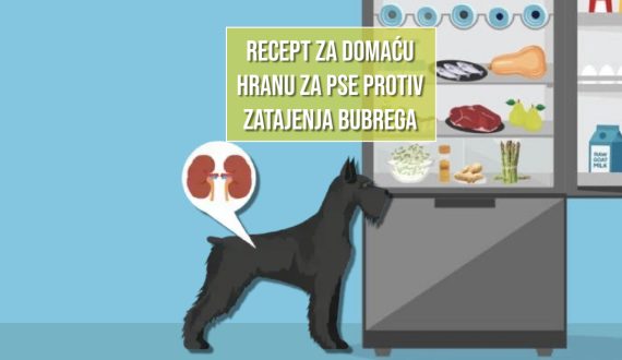 RECEPT ZA DOMAĆU HRANU PROTIV ZATAJENJA BUBREGA