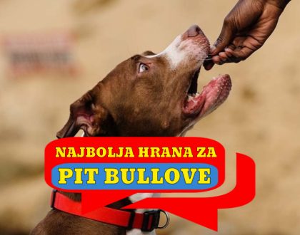 NAJBOLJA HRANA ZA PITBULLOVE