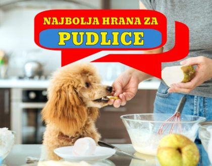 NAJBOLJA HRANA ZA PUDLICE