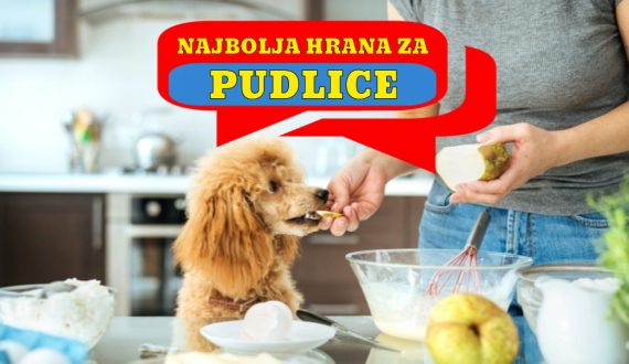 NAJBOLJA HRANA ZA PUDLICE