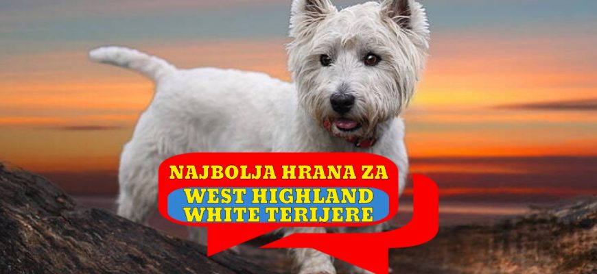 Najbolja hrana za west highland white terriere