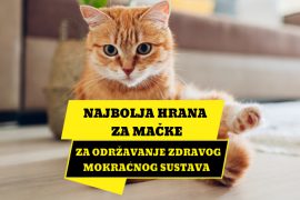 NAJBOLJA HRANA ZA ODRŽAVANJE ZDRAVOG MOKRAĆNOG SUSTAVA