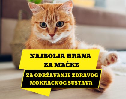 NAJBOLJA HRANA ZA ODRŽAVANJE ZDRAVOG MOKRAĆNOG SUSTAVA
