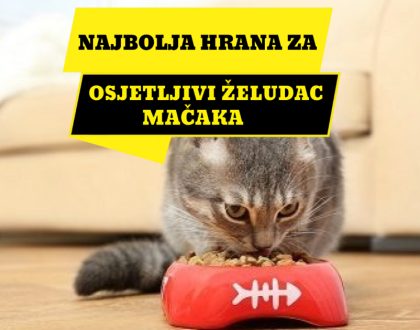 NAJBOLJA HRANA ZA OSJETLJIVI ŽELUDAC MAČAKA_