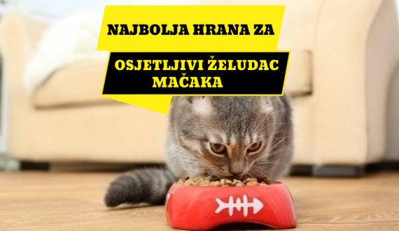 NAJBOLJA HRANA ZA OSJETLJIVI ŽELUDAC MAČAKA_