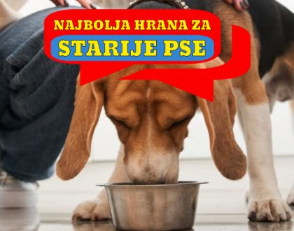 NAJBOLJA HRANA ZA STARIJE PSE