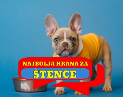 NAJBOLJA HRANA ZA ŠTENCE