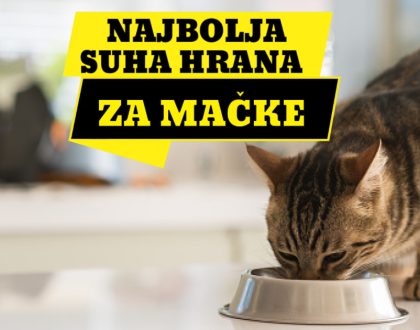 NAJBOLJA SUHA HRANA ZA MAČKE_