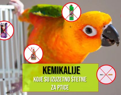 KEMIKALIJE KOJE SU IZUZETNO ŠTETNE ZA PTICE
