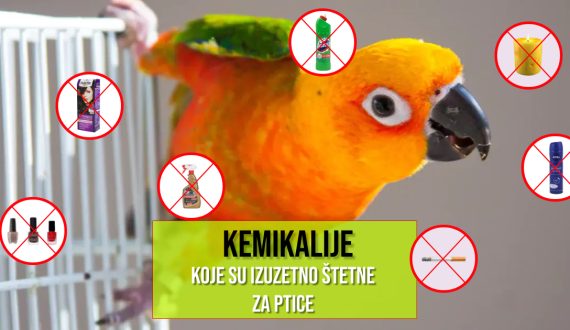 KEMIKALIJE KOJE SU IZUZETNO ŠTETNE ZA PTICE