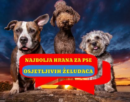 NAJBOLJA HRANA ZA PSE OSJETLJIVIH ŽELUDACA