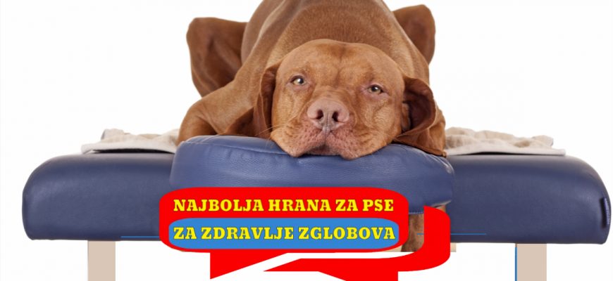 NAJBOLJA HRANA ZA ZDRAVLJE ZGLOBOVA