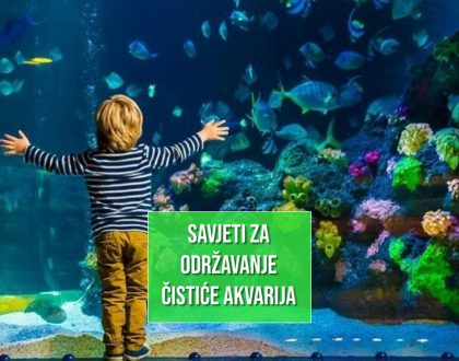 SAVJETI ZA ODRŽAVANJE ČISTOĆE AKVARIJA