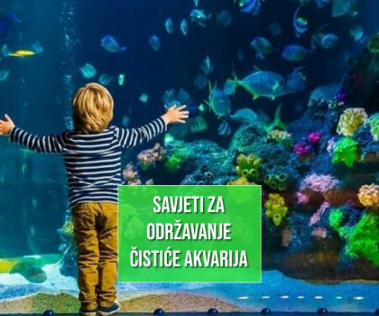 SAVJETI ZA ODRŽAVANJE ČISTOĆE AKVARIJA
