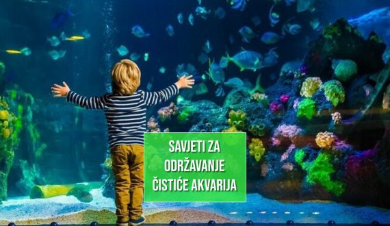 SAVJETI ZA ODRŽAVANJE ČISTOĆE AKVARIJA