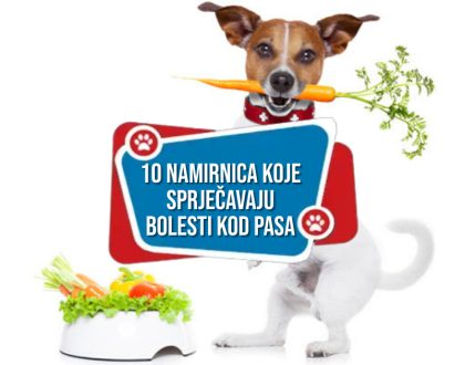 10 namirnica koje sprječavaju bolesti kod pasa