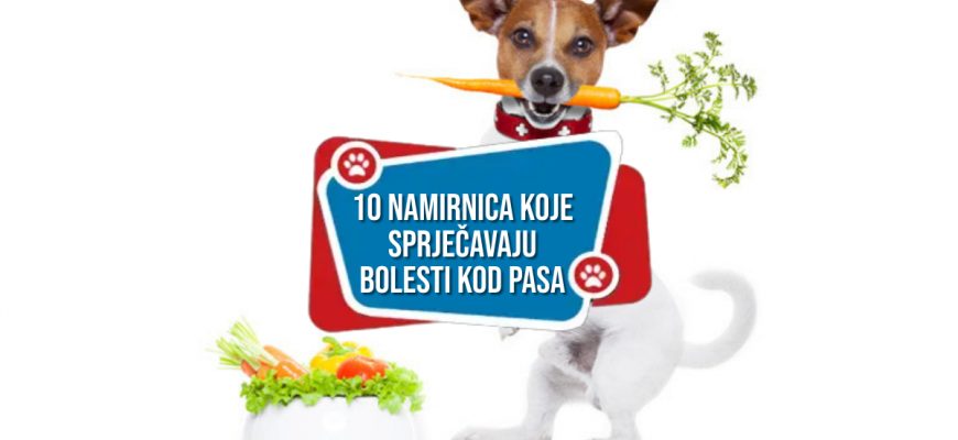 10 namirnica koje sprječavaju bolesti kod pasa