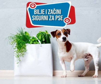 BILJE I ZAČINI SIGURNI ZA PSE