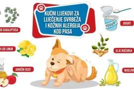 KUĆNI LIJEKOVI ZA LIJEČENJE SVRBEŽA I KOŽNIH ALERGIJA KOD PASA