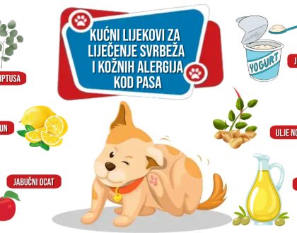 KUĆNI LIJEKOVI ZA LIJEČENJE SVRBEŽA I KOŽNIH ALERGIJA KOD PASA