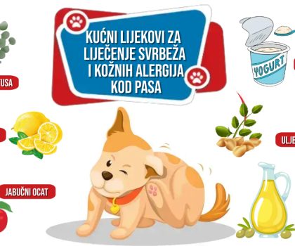 KUĆNI LIJEKOVI ZA LIJEČENJE SVRBEŽA I KOŽNIH ALERGIJA KOD PASA