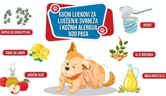 KUĆNI LIJEKOVI ZA LIJEČENJE SVRBEŽA I KOŽNIH ALERGIJA KOD PASA