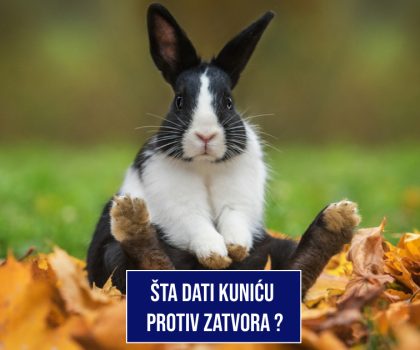 ŠTA DATI KUNIĆU PROTIV ZATVORA