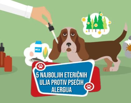 5 NAJBOLJIH ETERIČNIH ULJA PROTIV PSAĆIH ALERGIJA
