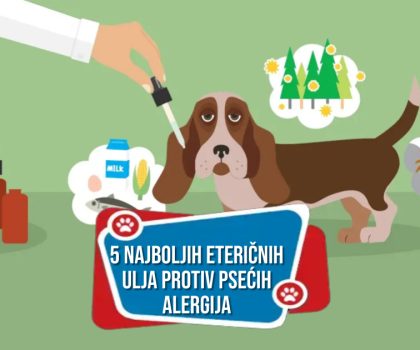 5 NAJBOLJIH ETERIČNIH ULJA PROTIV PSAĆIH ALERGIJA