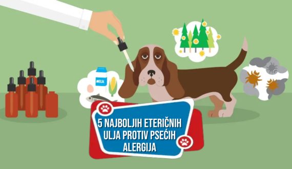 5 NAJBOLJIH ETERIČNIH ULJA PROTIV PSAĆIH ALERGIJA