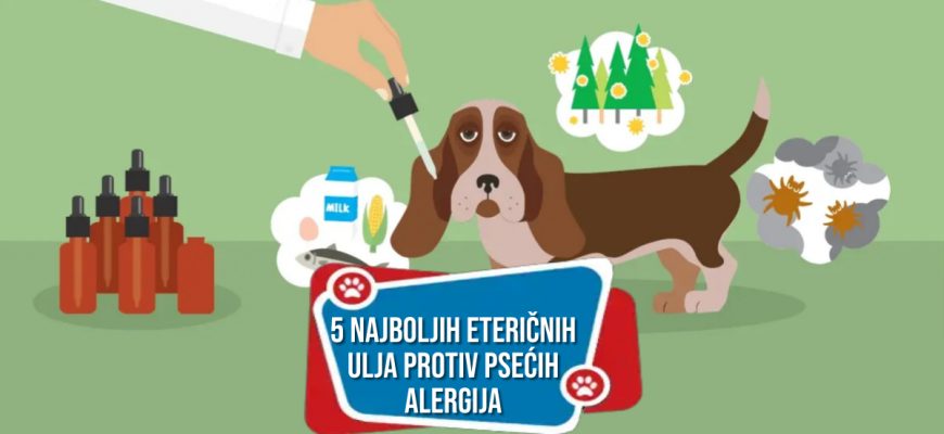 5 NAJBOLJIH ETERIČNIH ULJA PROTIV PSAĆIH ALERGIJA
