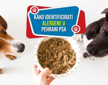 KAKO IDENTIFICIRATI ALERGENE U PREHRANI PSA
