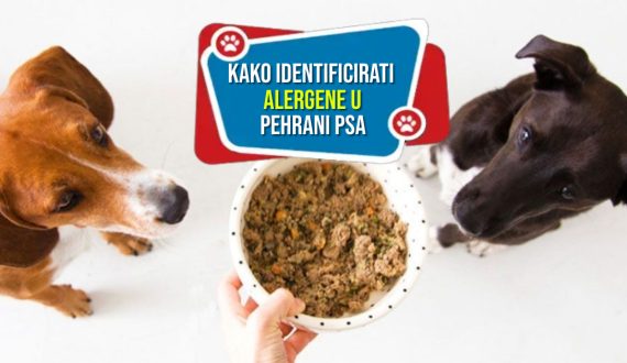 KAKO IDENTIFICIRATI ALERGENE U PREHRANI PSA