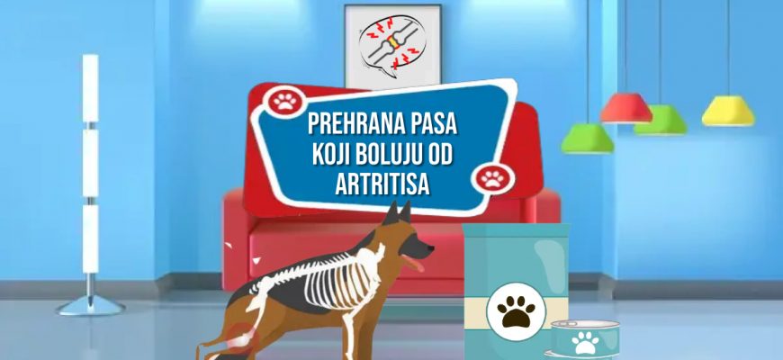 PREHRANA PASA KOJI BOLUJU OD ARTRITISA