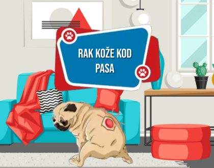 AK KOŽE KOD PASA_