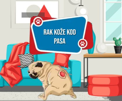 AK KOŽE KOD PASA_