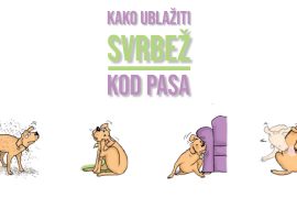 KAKO UBLAŽITI SVRBEŽ KOD PASA