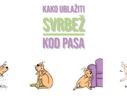 KAKO UBLAŽITI SVRBEŽ KOD PASA