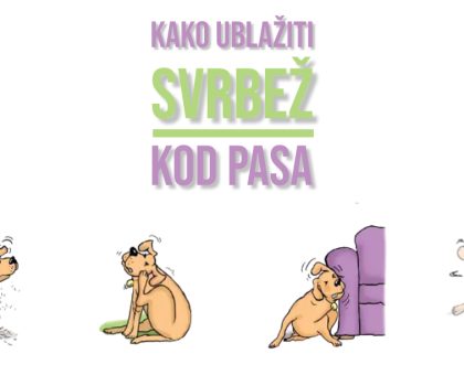 KAKO UBLAŽITI SVRBEŽ KOD PASA