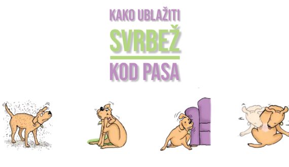 KAKO UBLAŽITI SVRBEŽ KOD PASA