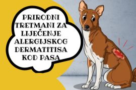 PRIRODNI TRETMANI ZA LIJEČENJE ALERGIJSKOG DERMATITISA KOD PASA