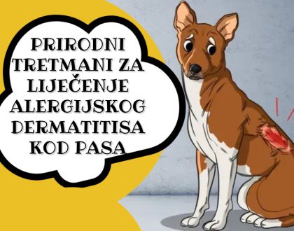 PRIRODNI TRETMANI ZA LIJEČENJE ALERGIJSKOG DERMATITISA KOD PASA